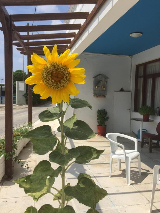 Villa Bonatsa Andros Home Batsíon Zewnętrze zdjęcie
