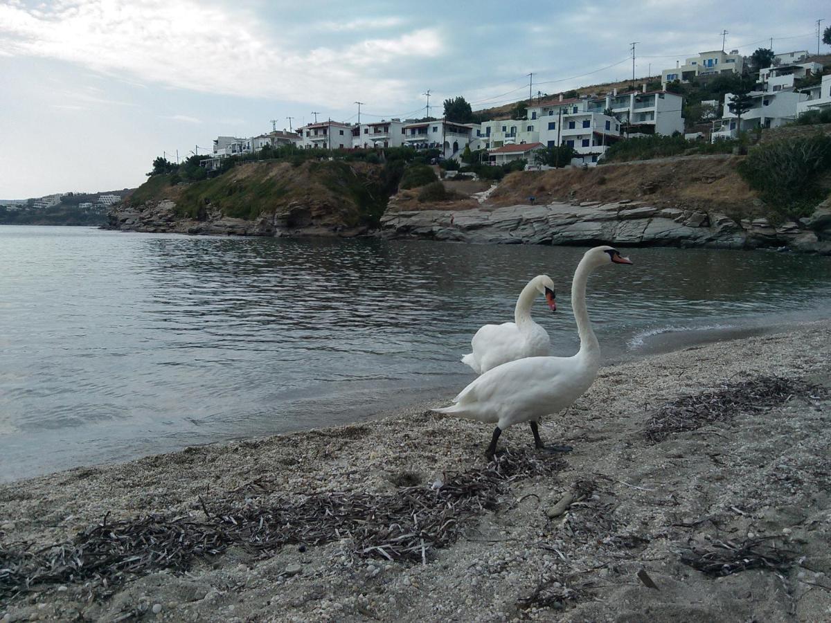 Villa Bonatsa Andros Home Batsíon Zewnętrze zdjęcie