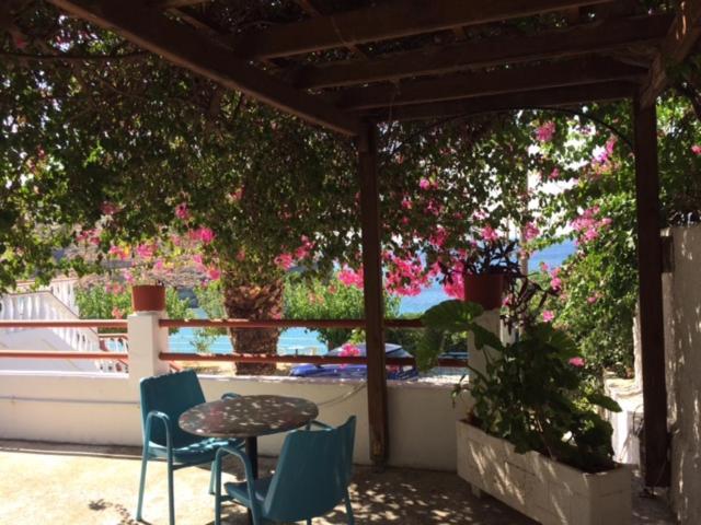 Villa Bonatsa Andros Home Batsíon Zewnętrze zdjęcie